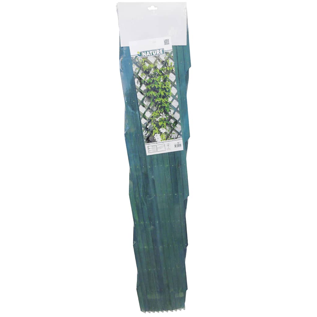 Plantenklimrek 100x200 cm hout groen 6041704