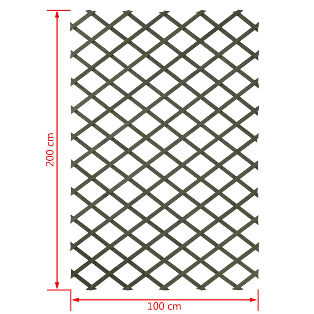 Plantenklimrek 100x200 cm hout groen 6041704