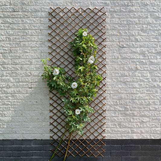 Latwerk 60x180 cm natuurlijk wilgen bruin