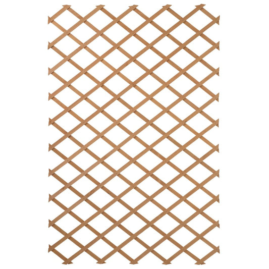 Tuinlatwerk 50x150 cm hout natuurlijk