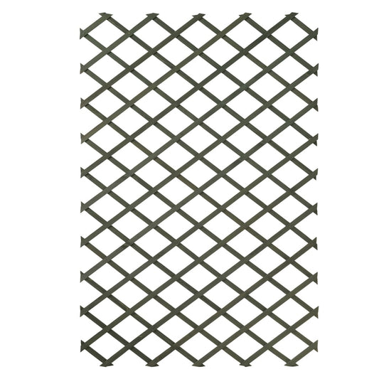 Tuinlatwerken 2 st 100x200 cm hout groen