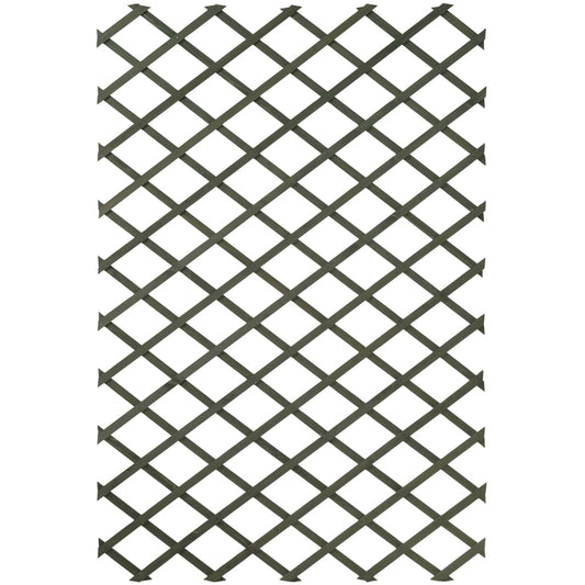 Tuinlatwerken 2 st 50x150 cm hout groen
