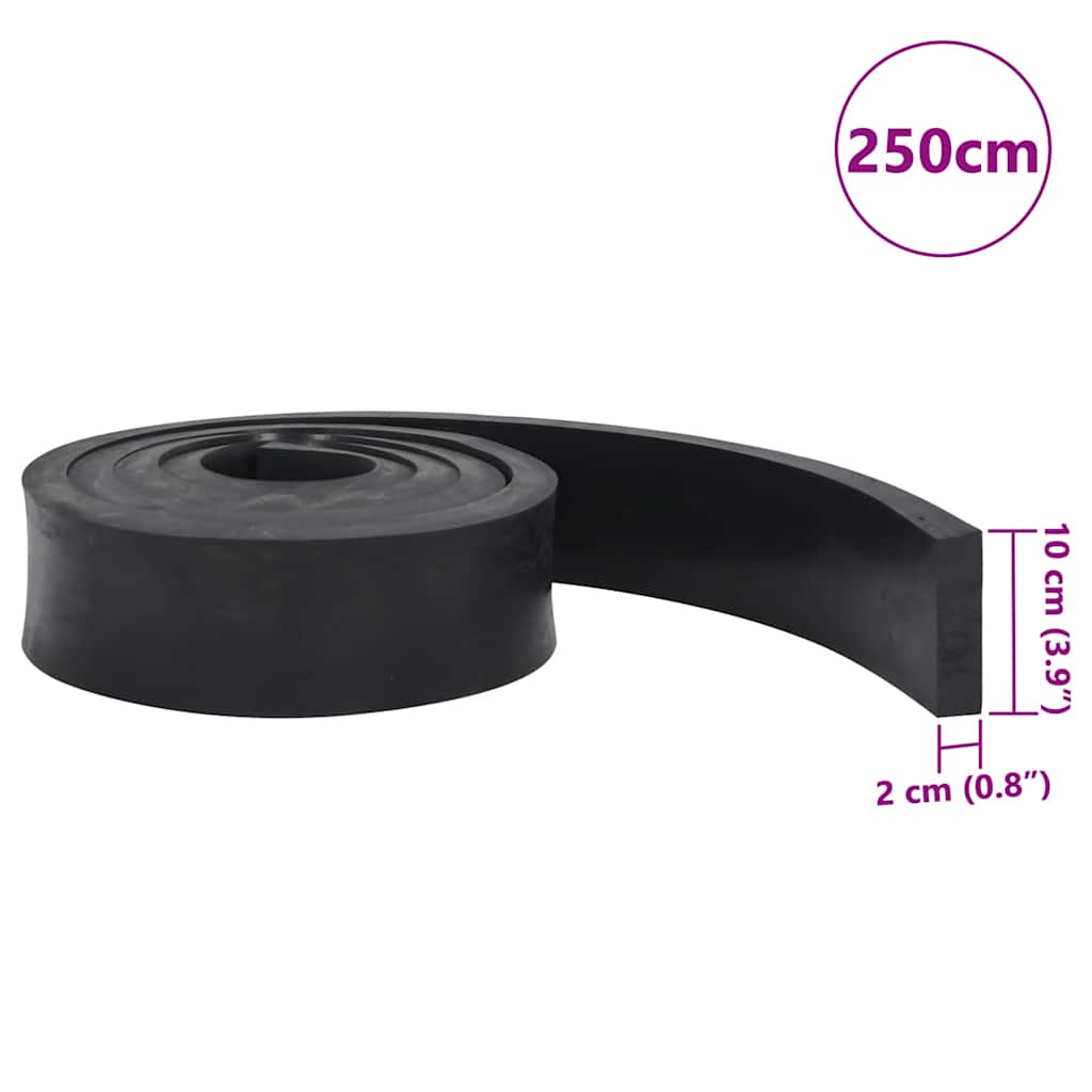 Rubberen rand voor sneeuwploeg 250x10x2 cm zwart
